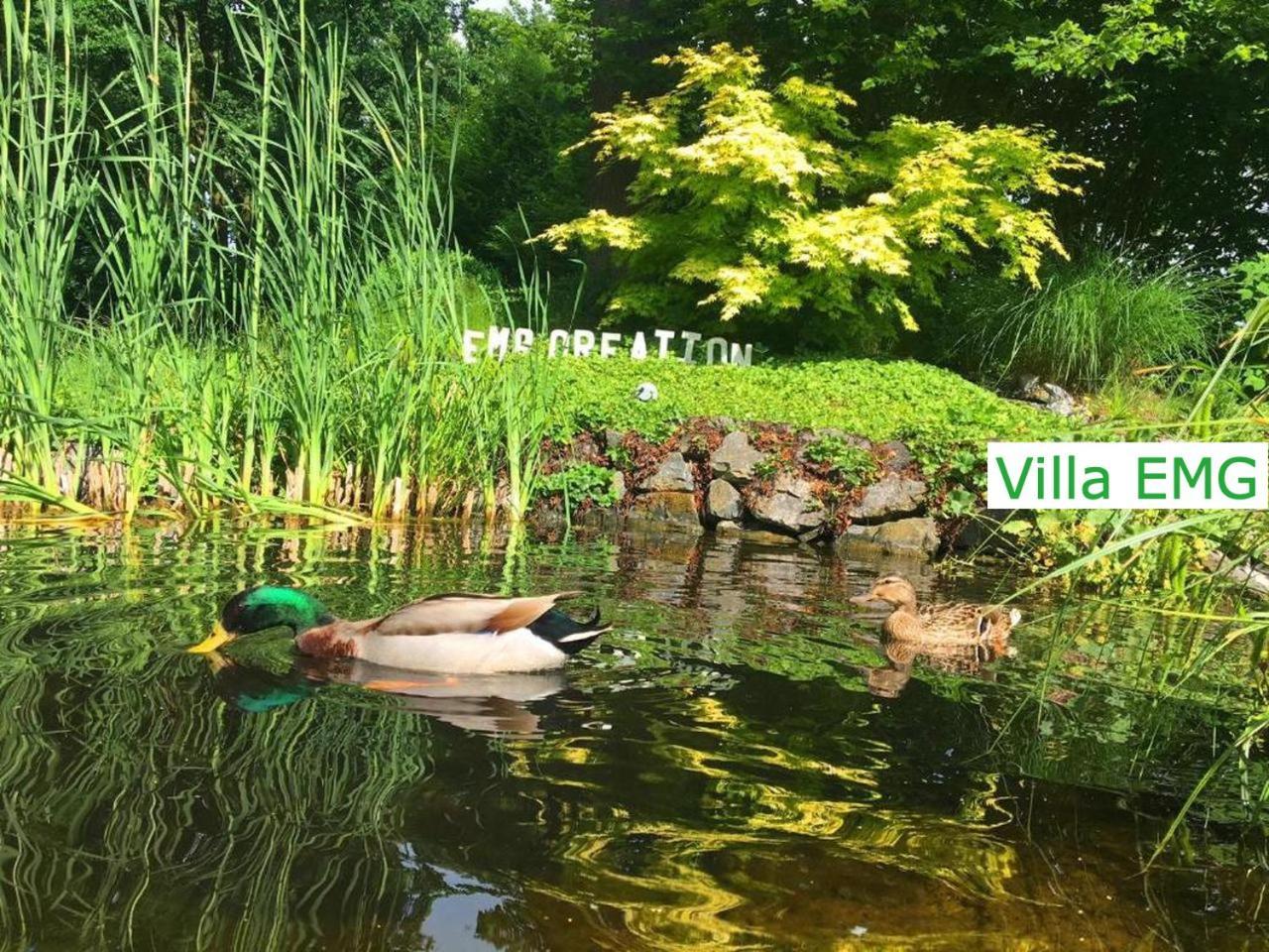 Luxury Family Holidays Villa In Emsdetten Munster Luaran gambar